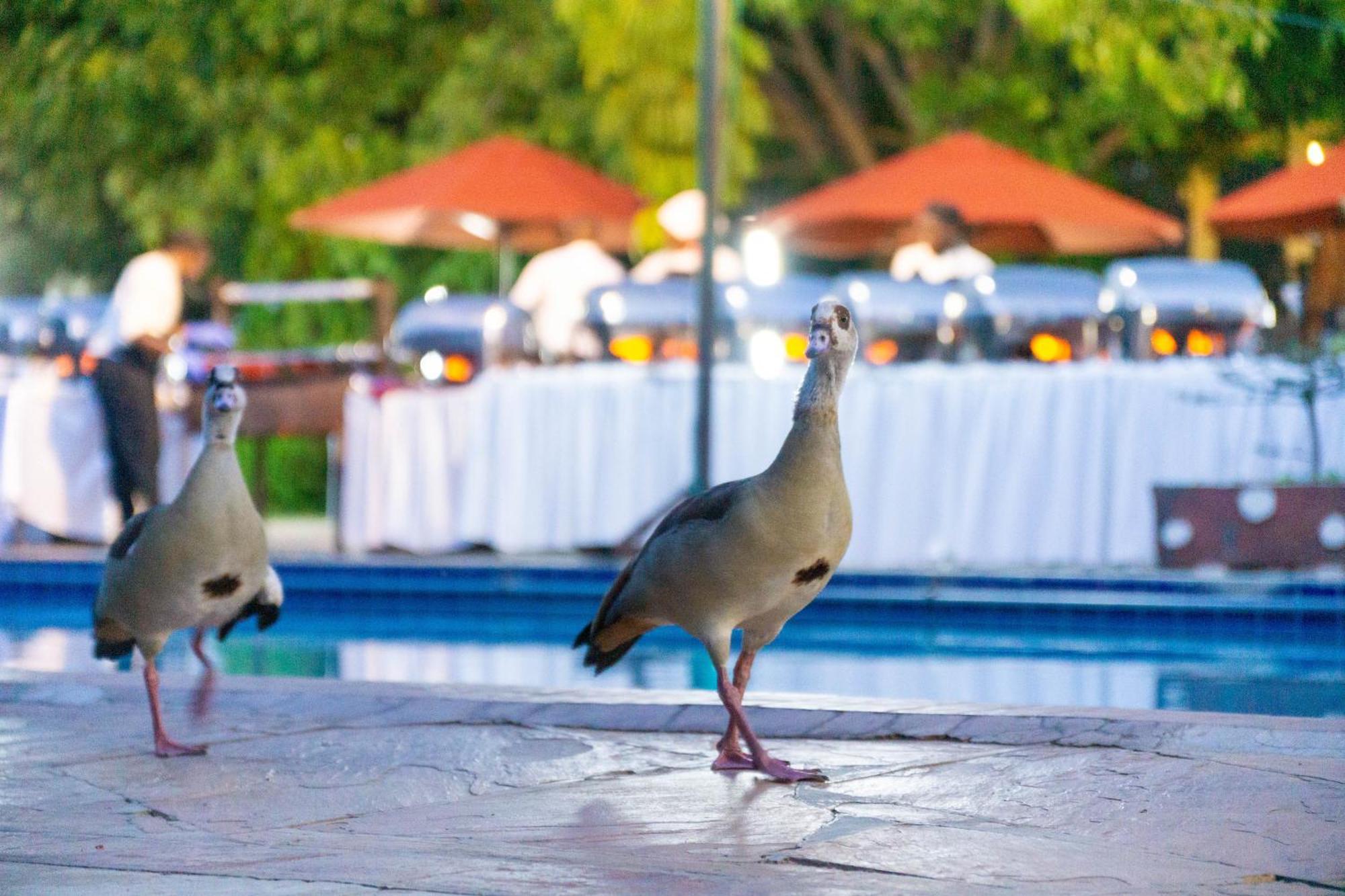 Hotel Lukenya Getaway Athi River Exterior foto